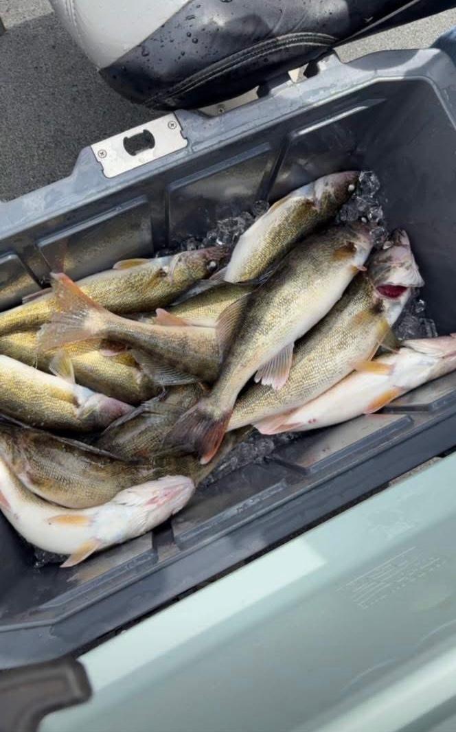 Maurice Wollschlager, Colby Wollschlager and Caden Loy with a walleye at Bitter Lake, Waubay South Dakota