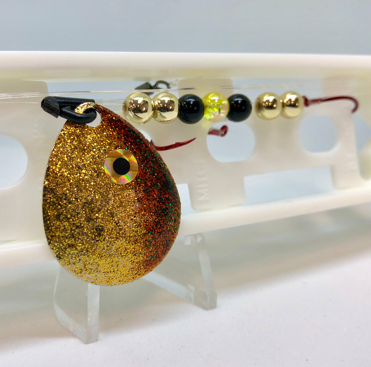 Golden Shiner
